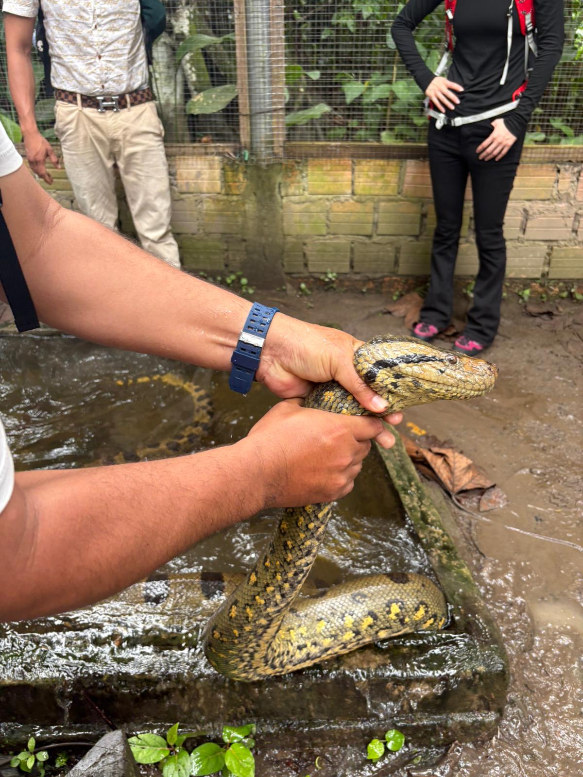 Full Day · Aventura en la Selva: Anfibios y Reptiles