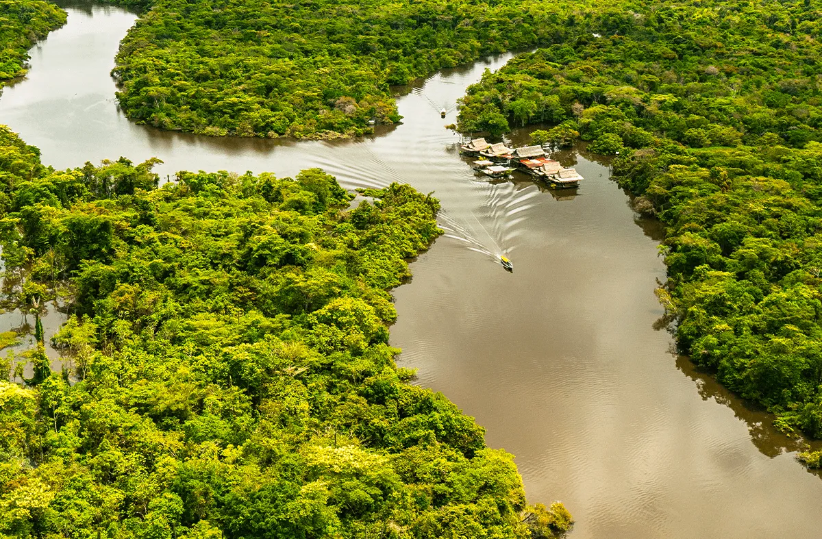 Amazon River Nature and Adventure Program (3D / 2N)